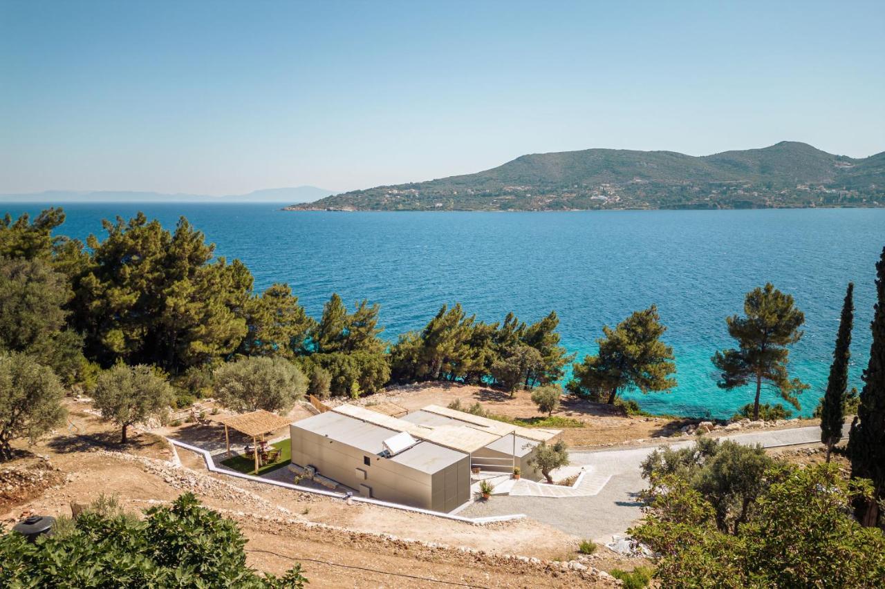 Dom wakacyjny Blue Garden Samos *