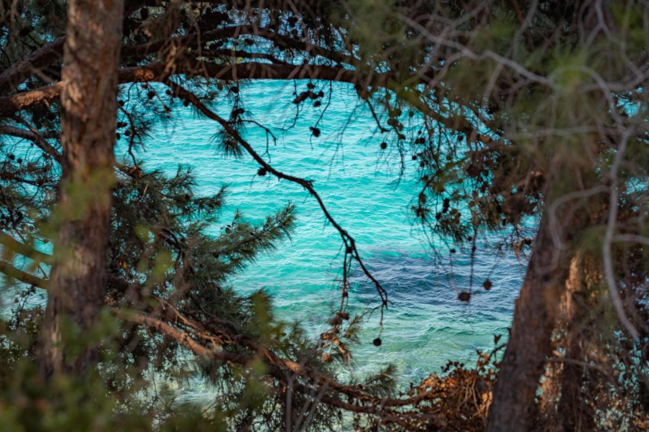 Blue Garden *